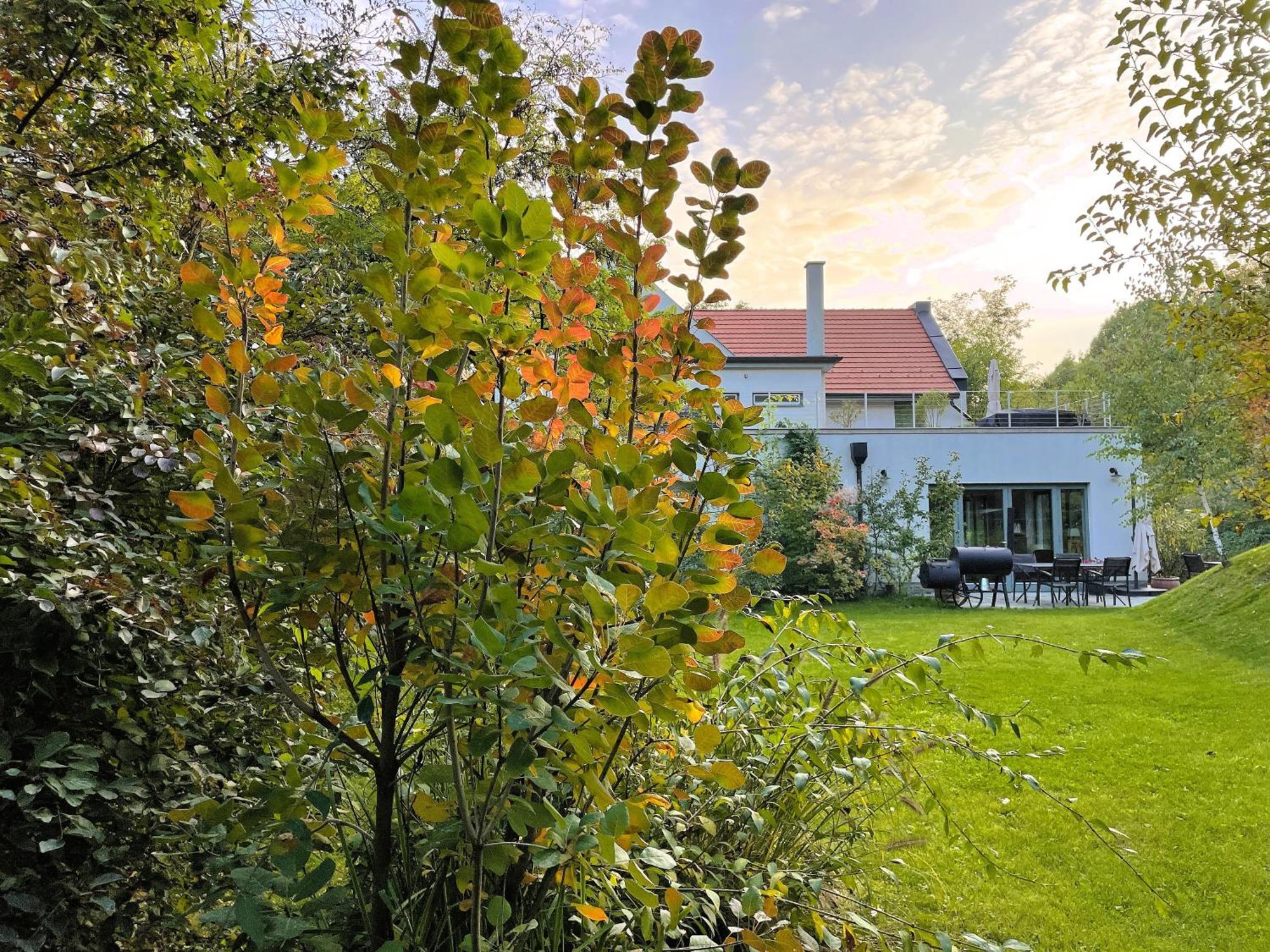 Villa Viridis Buekkalja Borsodgeszt Экстерьер фото